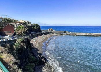 12 Will have to-Consume Madeira Meals in Portugal