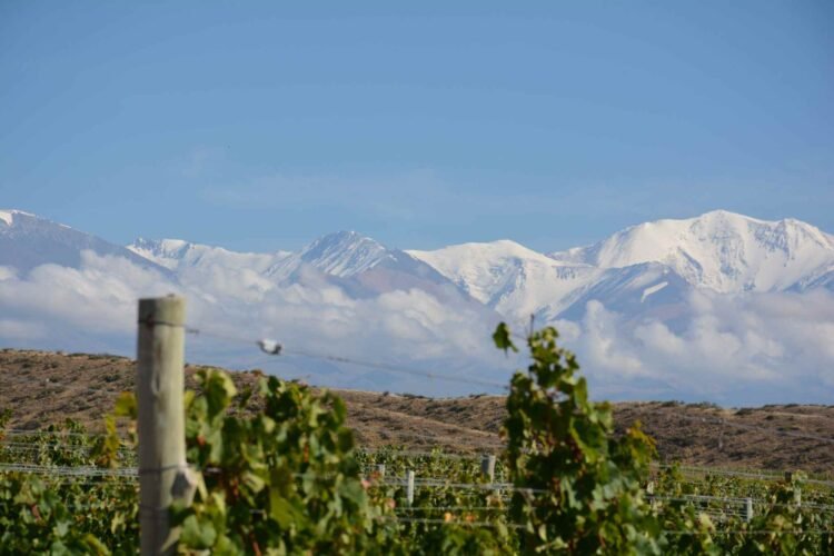 Marvelous Mendoza Malbecs – Talk over with Mendoza Argentina