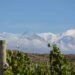 Marvelous Mendoza Malbecs – Talk over with Mendoza Argentina