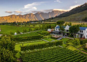 Exploring Winelands In South Africa