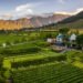 Exploring Winelands In South Africa