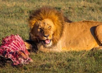 The place & When You Must See It