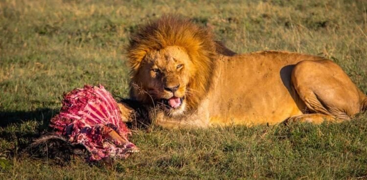 The place & When You Must See It