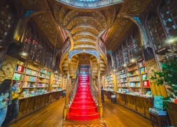 Livraria Lello, Porto: Pointers For Visiting The Maximum Stunning Book place within the Global