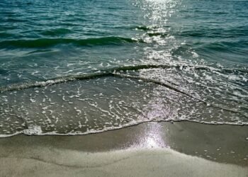 Why You’ll be able to Love Longboat Key Florida Seashores