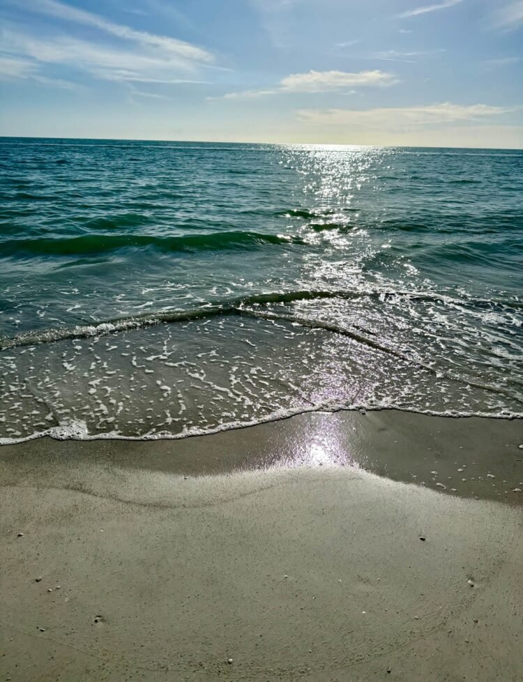 Why You’ll be able to Love Longboat Key Florida Seashores