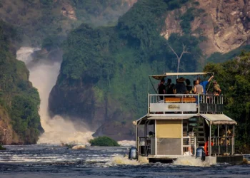 Find out how to Plan a Safari in Murchison Falls Nationwide Park in Uganda