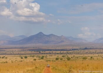 What to Pack for Safari – A Detailed Safari Packing Checklist