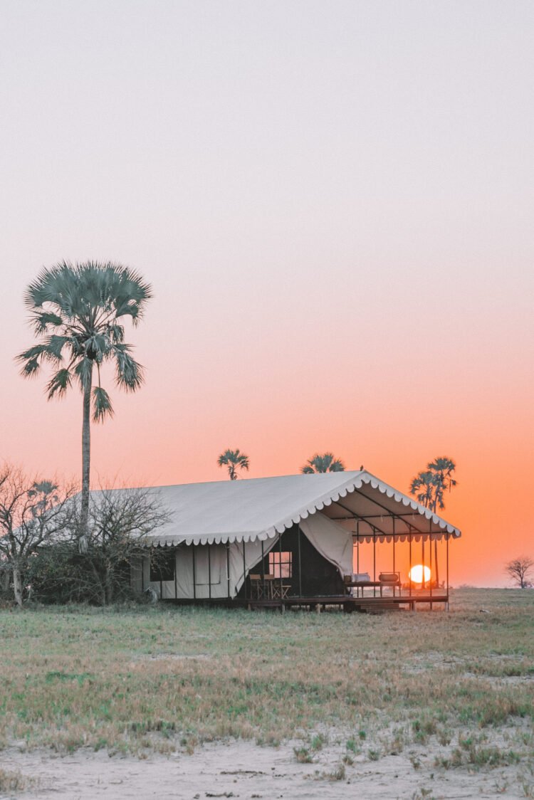 The 20 Best possible Safari Resorts in Africa