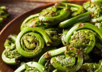12 Fiddlehead Recipes to Have a good time Spring