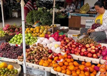 31 Unique Culmination in Cambodia You have By no means Noticed Sooner than