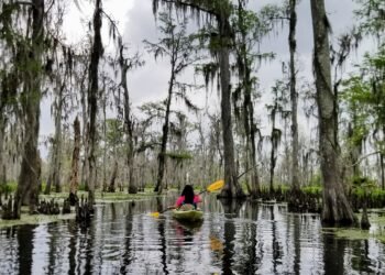 Discover Southern Louisiana, the Middle of Cajun Nation