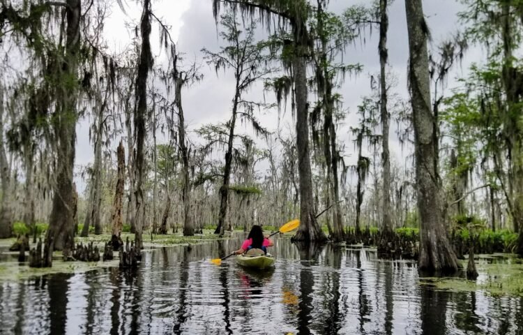 Discover Southern Louisiana, the Middle of Cajun Nation