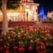 Shoulder Season Slowdown at Disney International