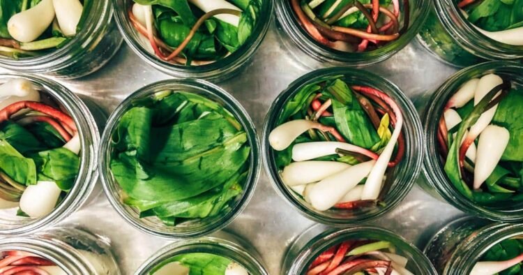 The way to Pickle Ramps aka Wild Leeks