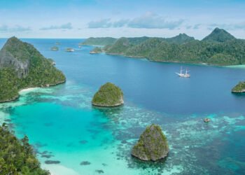 Celebrating the beginning of evolutionary science on an overly particular ‘SeaTrek Crusing Journey’ in Indonesia