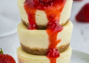 Cheesecake Bites – The Shuttle Chew