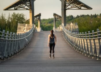 Edmonton Explored: Highest Hikes and Walks