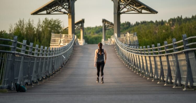 Edmonton Explored: Highest Hikes and Walks