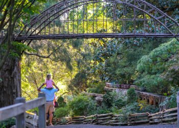 17 Puts You Would possibly not Imagine Are in Philly