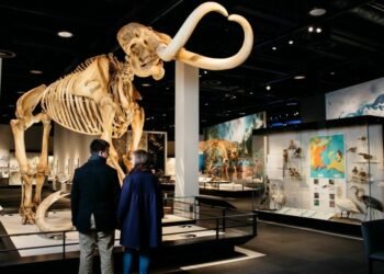 The Best Sights in Edmonton