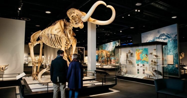 The Best Sights in Edmonton