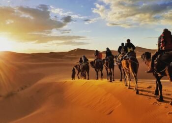 Is AI the important thing to inexperienced go back and forth answers?