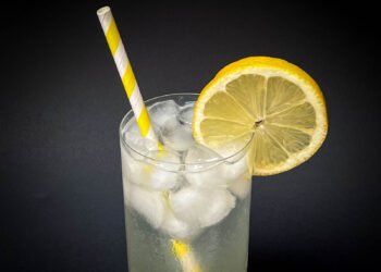 20 Nice Gin Cocktails