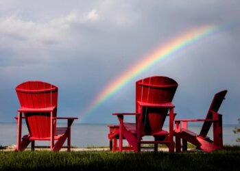 Best possible Seashores in Ontario To Seek advice from in 2024