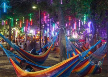 What is New at Spruce Boulevard Harbor Park for 2024