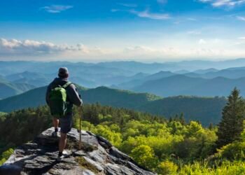 Freely Go back and forth Insurance coverage Assessment