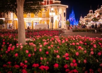 Disney ‘Warns’ of Attendance Slowdown