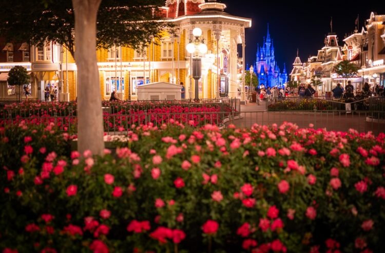 Disney ‘Warns’ of Attendance Slowdown