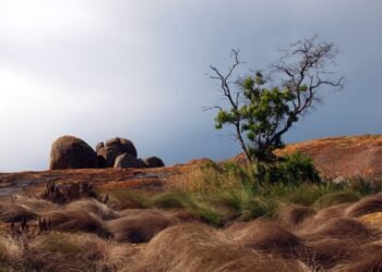 A Information to Visiting Matobo Hills in Zimbabwe
