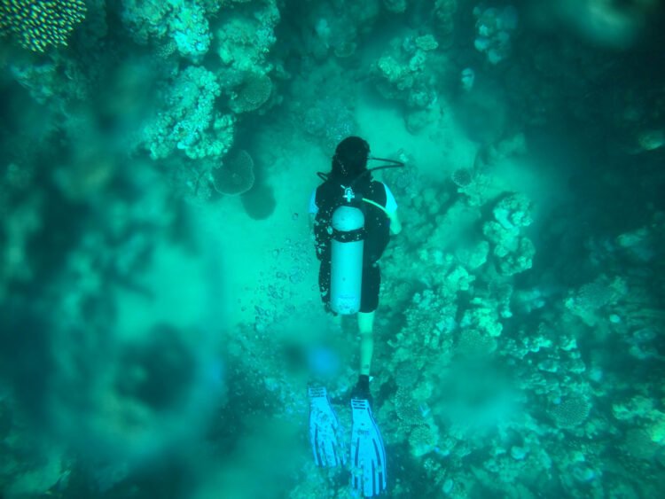 The Very best Towns in Egypt For Scuba Diving