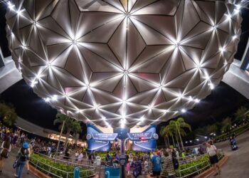 Adjustments & DAS Denials at Disney International