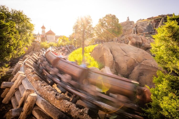 Is It Time to Skip Early Access at Magic Kingdom?