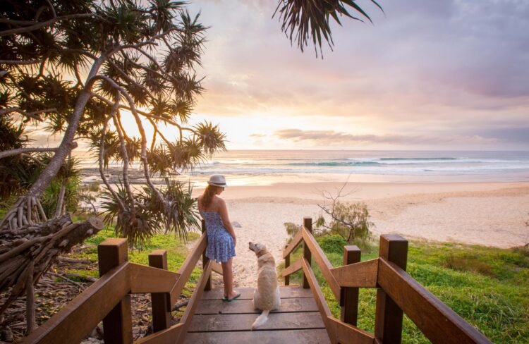 Air New Zealand’s seasonal provider to the Sunshine Coast returns
