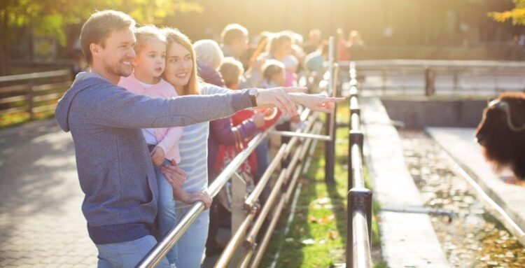 Satisfi Labs acquires omnichannel advertising automation platform Factoreal