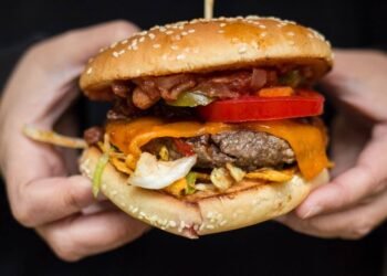 50 Burgers You Wish to Devour