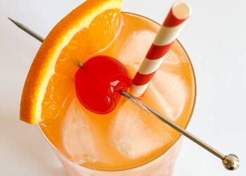 Intercourse at the Seashore: Elegant Summer time Sipper