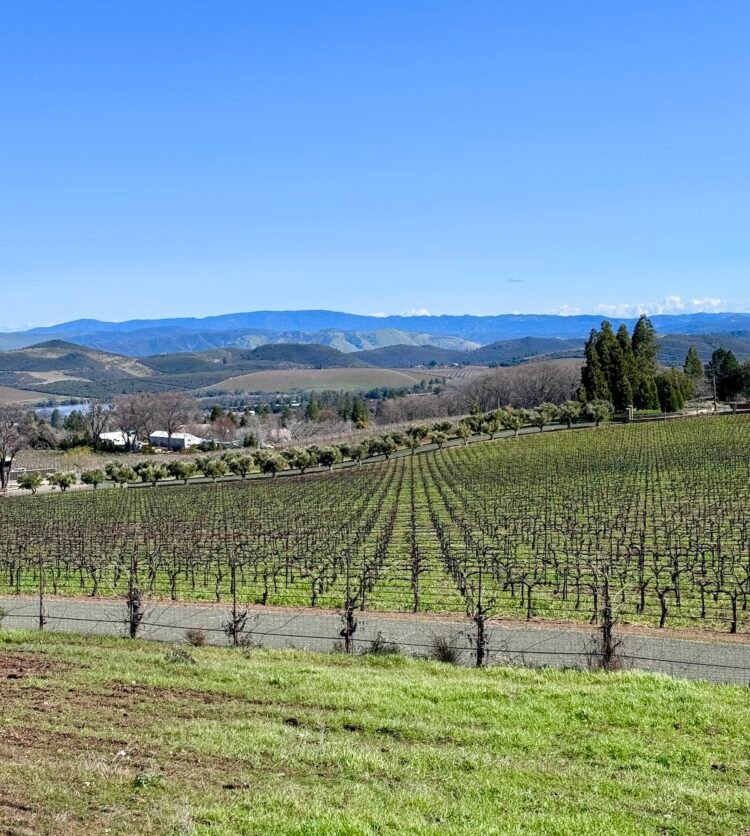 Northern California Wineries with Accommodation