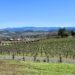Northern California Wineries with Accommodation