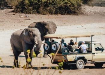 Univisa Thought to be through 5 Southern African International locations