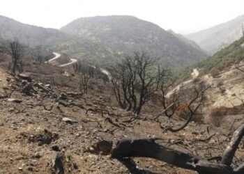 Woodland Fires Are Threatening Greece Once more