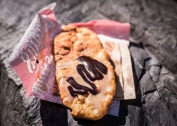 Canadian Visitors WILL Have Pre-Arrival Lightning Lane Get entry to at Disney International