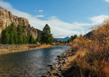 Amusing Circle of relatives Actions to Experience When Visiting Custer-Gallatin Nationwide Woodland