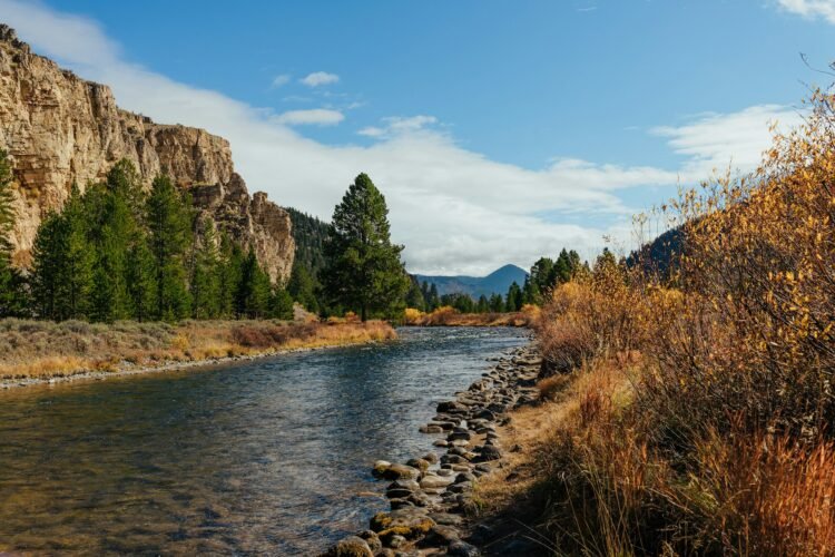 Amusing Circle of relatives Actions to Experience When Visiting Custer-Gallatin Nationwide Woodland