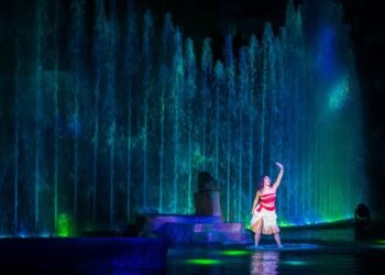 Best 10 Sights That Are Higher at Disney International Than Disneyland