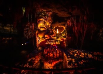 Best 10 Rides That Are Higher at Disneyland Than Disney International